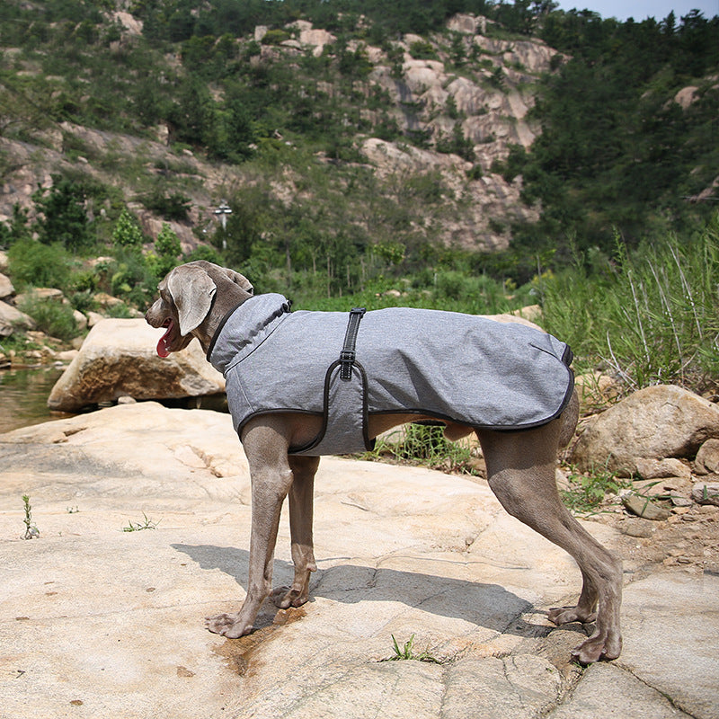 Unleash the Winter Adventure with Our Pet Winter Shell Jacket